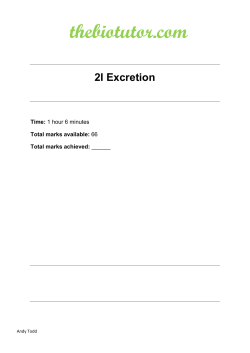 File - thebiotutor.com