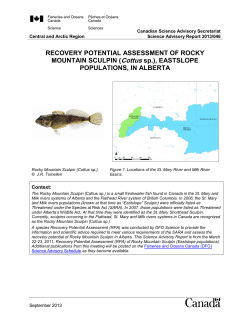 Recovery potential assessment of Rocky Mountain Sculpin (Cottus
