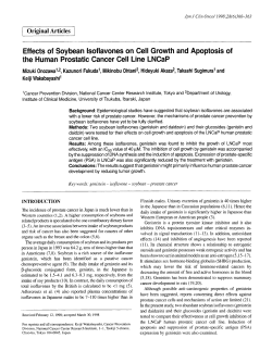 Effects of Soybean Isoflavones on Cell Growth and Apoptosis of the