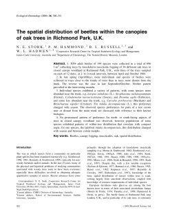 The spatial distribution of beetles within the