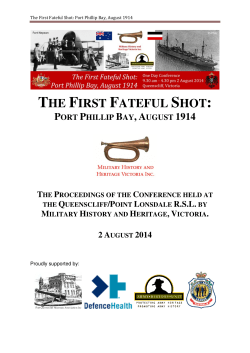 The First Shot &ndash; 1914 Misperception, Miscalculation, Truth