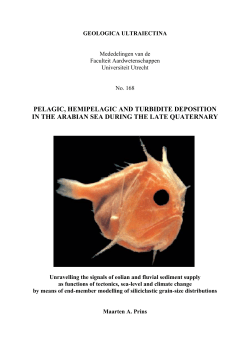 pelagic, hemipelagic and turbidite deposition in the arabian sea
