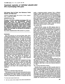 Functional expression of individual plasmid