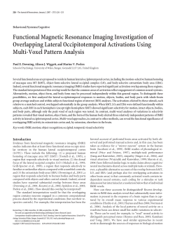 Functional Magnetic Resonance Imaging Investigation of
