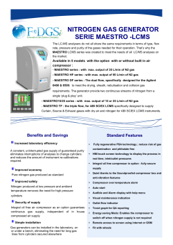 nitrogen gas generator serie maestro -lcms - f-dgs