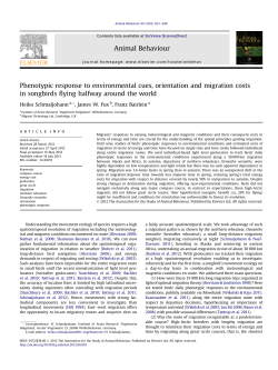 Phenotypic response to environmental cues, orientation and