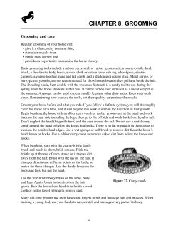 4-H Horse Manual - Chapters 8, 9 and 10