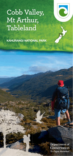 Cobb Valley, Mt Arthur, Tableland