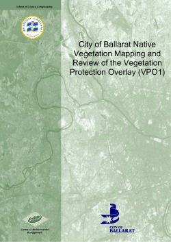 City of Ballarat Native Vegetation Mapping and Review of the