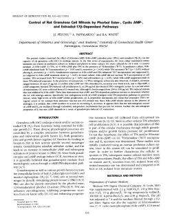 Control of Rat Granulosa Cell Mitosis by Phorbol Ester