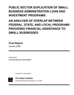 Public Sector Duplication of Small Business