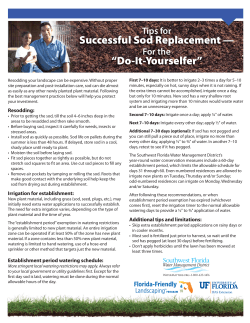 Successful Sod Replacement &mdash; &ldquo;Do-It