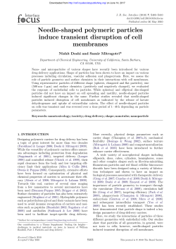Needle-shaped polymeric particles induce transient disruption of