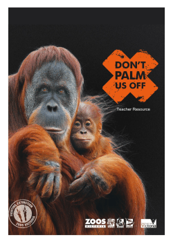 Don`t Palm Us Off Teacher Resource Pack