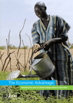 The Economic Advantage