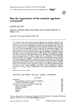 Has the importance of the amniote egg been