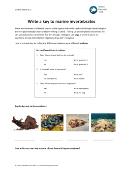 Reefs and lagoons - Nature Seychelles