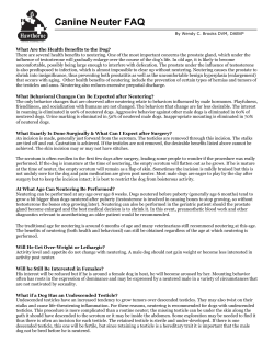 Canine Neuter FAQ
