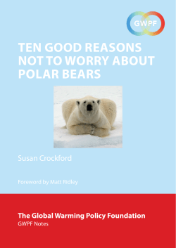 Ten Good Reasons Not To Worry About Polar Bears