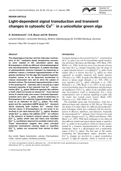 Light-dependent signal transduction and transient changes in