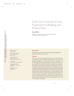 cell-cycle control of gene expression in budding and