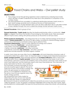 Food Chains and Webs &ndash; Owl pellet study