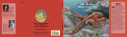 About Mollusks - Peachtree Publishers