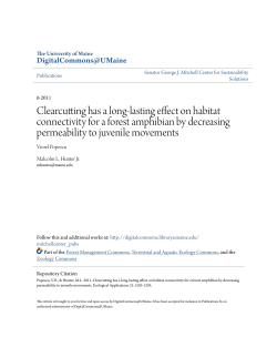 Clearcutting has a long-lasting effect on habitat connectivity for a