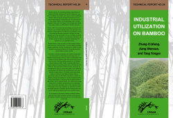 Industrial Utilisation on Bamboo