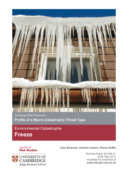 document - The Cambridge Risk Framework