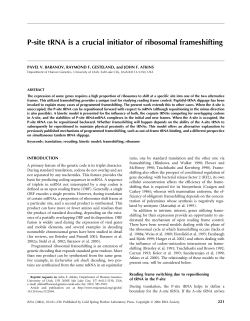 P-site tRNA is a crucial initiator of ribosomal