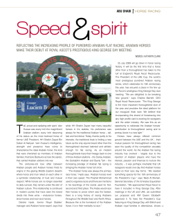 Speed spirit - The President of the UAE Cup Series