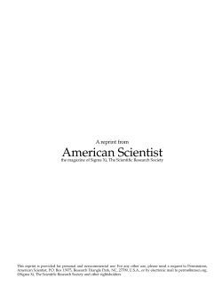 The Bay Bridge - American Scientist