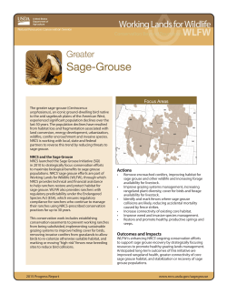Greater Sage-Grouse - Sage Grouse Initiative