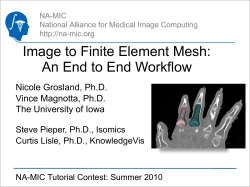 Image to Finite Element Mesh: An End to End Workflow