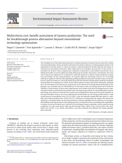 Multicriteria cost-benefit assessment of tannery production: The