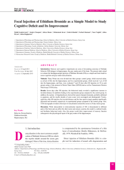Focal Injection of Ethidium Bromide as a Simple Model to Study