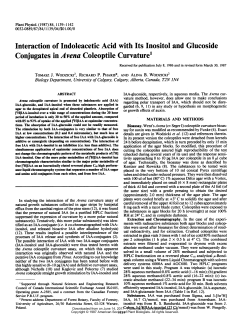 Interaction of Indoleacetic Acid withIts Inositol and