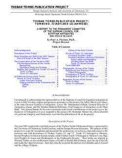 theban tombs publication project