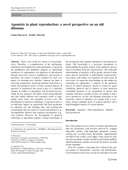 Apomixis in plant reproduction: a novel perspective