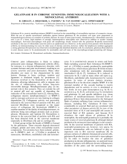 Gelatinase B in Chronic Synovitis: Immunolocalization with a