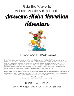 Awesome Aloha Hawaiian Adventure