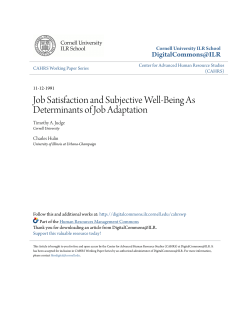 Job Satisfaction and Subjective Well