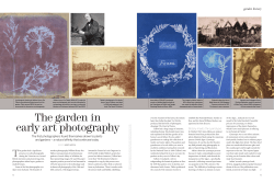 The garden in early art photography