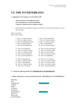 t.5. the invertebrates