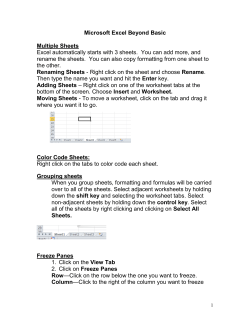 Microsoft Excel Beyond Basics - Poudre River Public Library District