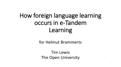 The Many Faces of E-Tandem Learning