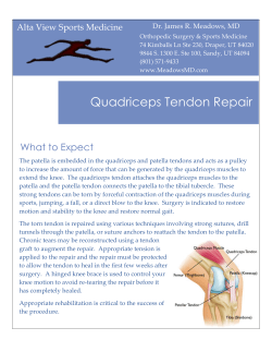 Quadriceps Tendon Repair - James R. Meadows MD Orthopedics