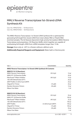 Protocol for MMLV Reverse Transcriptase 1st