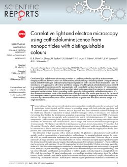 Correlative light and electron microscopy using